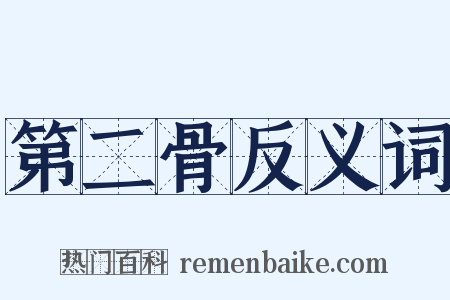 第二骨反义词是什么意思的图片